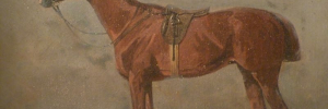 P4150052