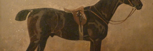 P4150058