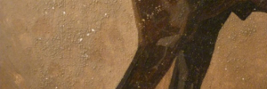 P4150060