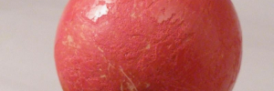 P3570194