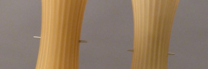 P3110648